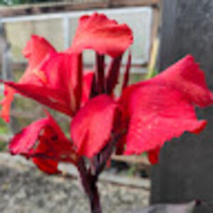 Meet your Posher, Kristin